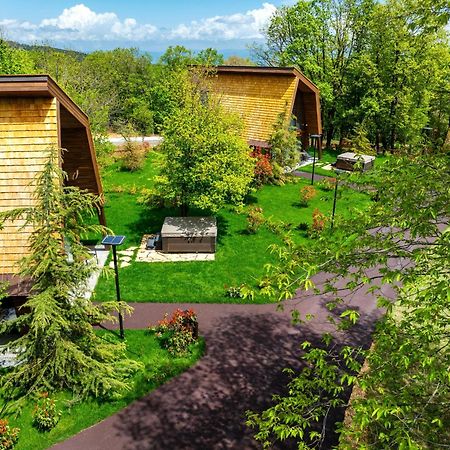 Kojori Bioli Wellness Resort מראה חיצוני תמונה