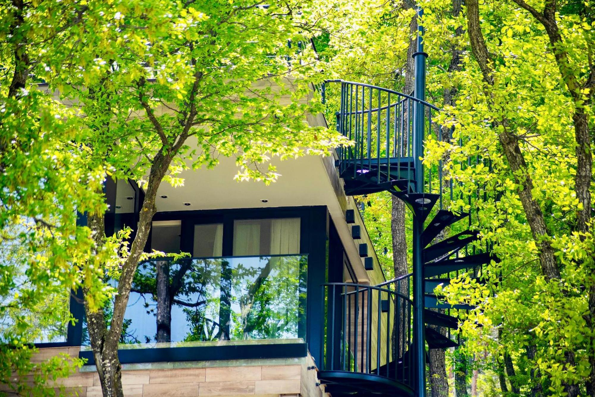Kojori Bioli Wellness Resort מראה חיצוני תמונה