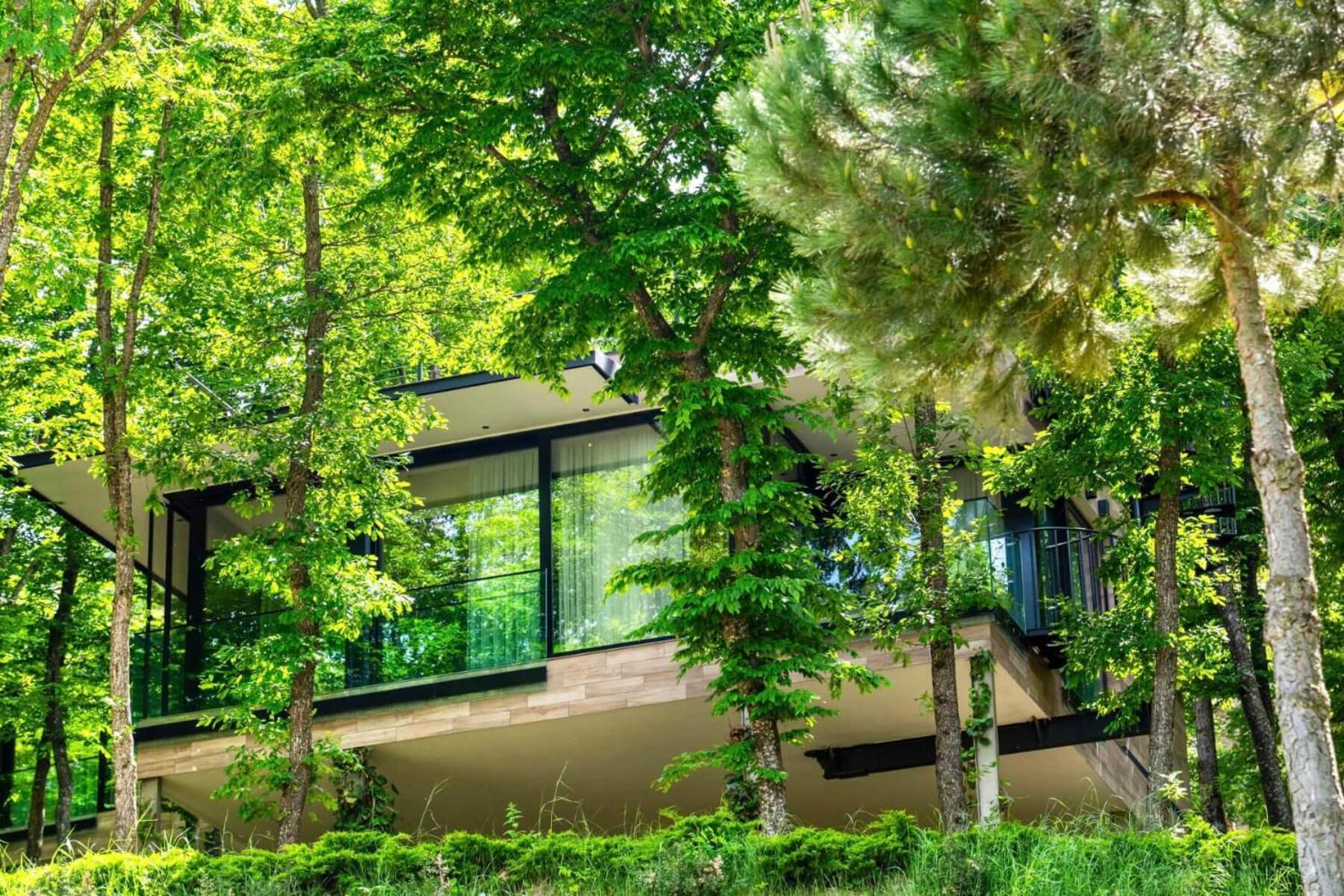 Kojori Bioli Wellness Resort מראה חיצוני תמונה