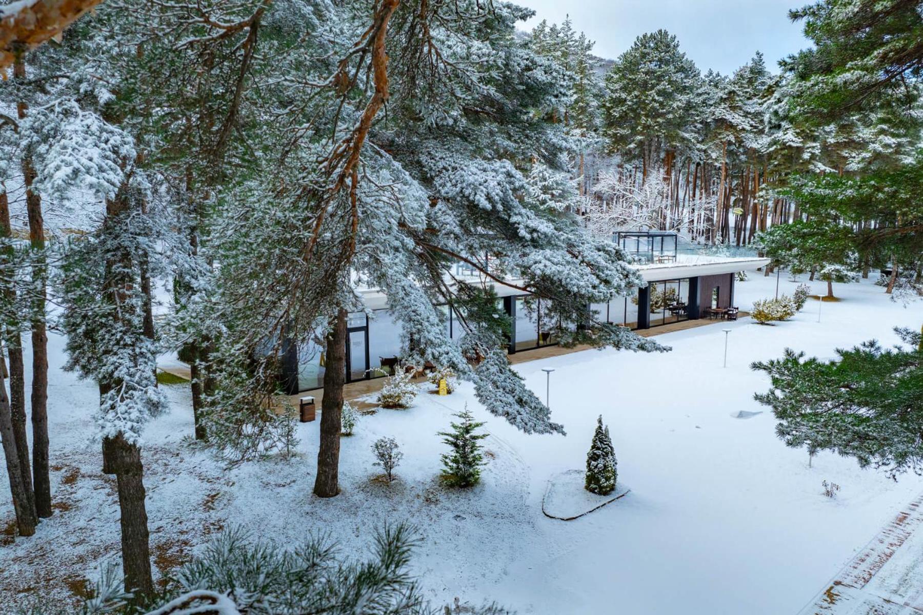 Kojori Bioli Wellness Resort מראה חיצוני תמונה