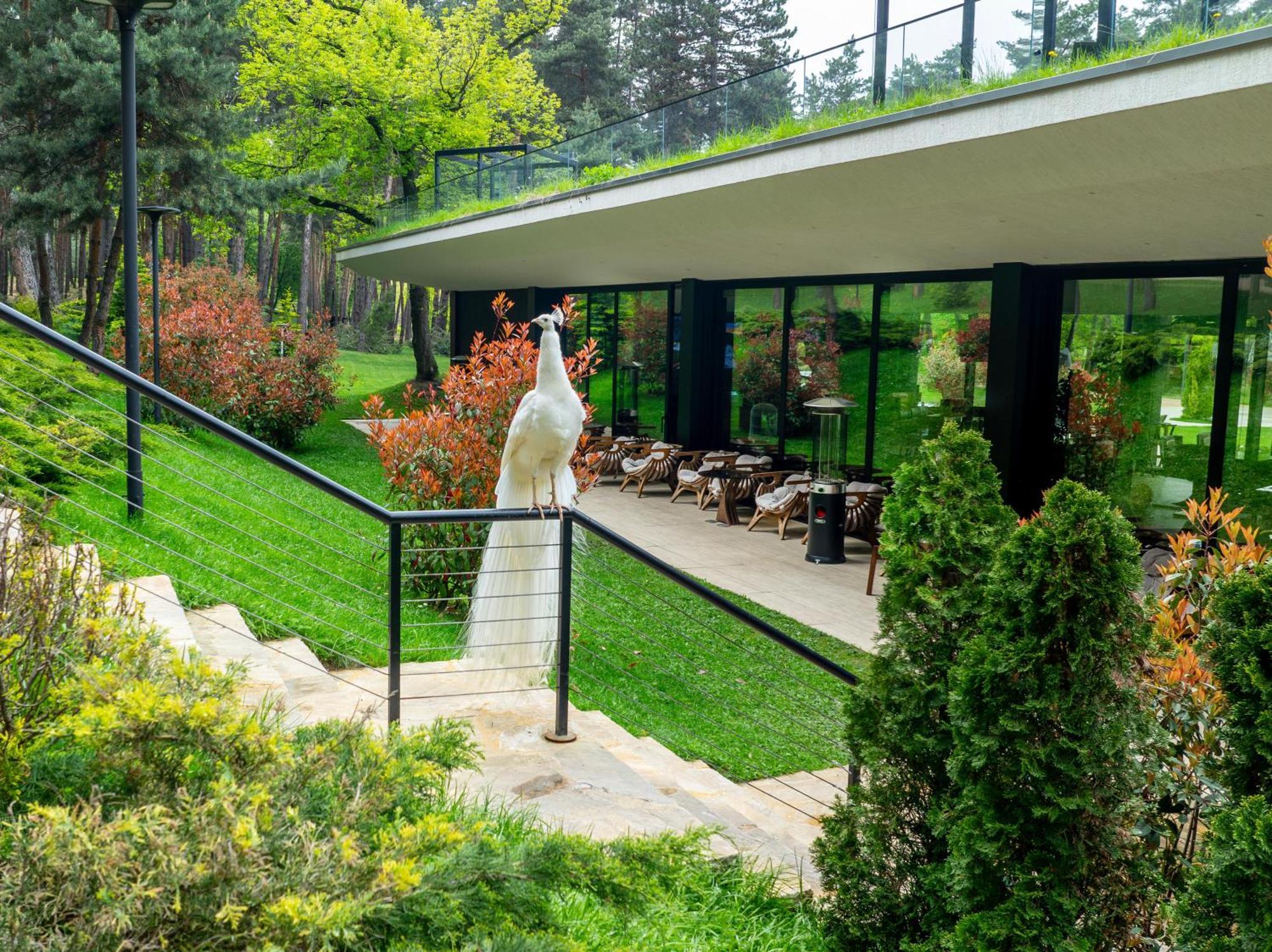 Kojori Bioli Wellness Resort מראה חיצוני תמונה